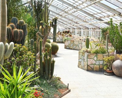 Kaktusový skleník